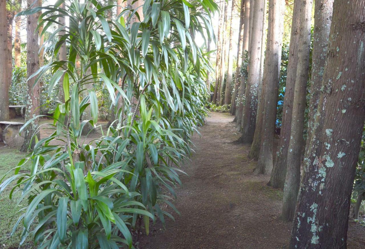 Quinta De Santana - Queimadas Furnas  Bagian luar foto